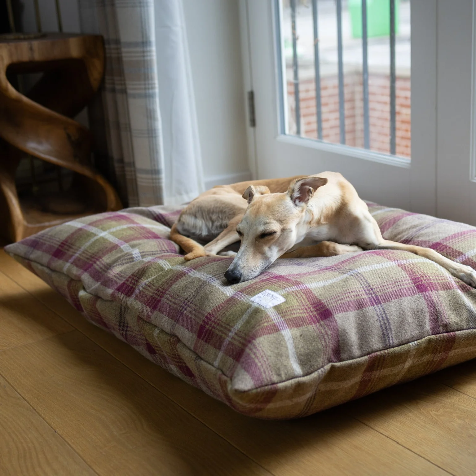 Pillow Dog Beds